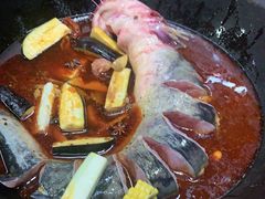 -鸽子刘铁锅炖鱼(劲松店)