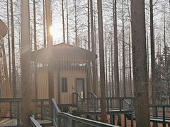 -黄海国家森林公园