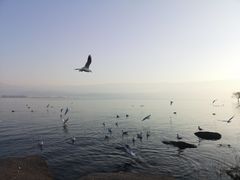 -西昌邛海湾柏樾酒店(原邛海湾柏栎度假酒店)