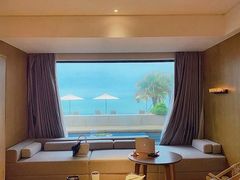 -广东惠东海龟国家级自然保护区