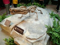 -自贡恐龙博物馆