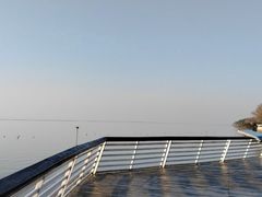 -贡湖湾湿地公园