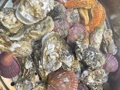 -富临港·蒸汽海鲜·手抓海鲜·炒菜(栈桥店)