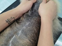 -爱洗澡的猫(望京店)