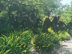 -墨尔本皇家植物园