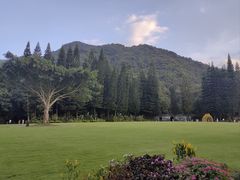 -深圳仙湖植物园