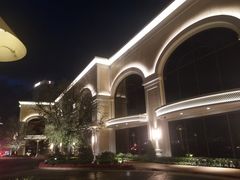 -拉斯维加斯永利酒店