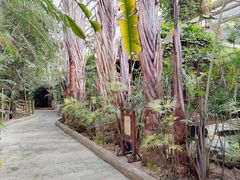 -龙达温泉生态城