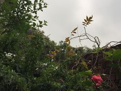 -广州市紫泥堂文化创意园景区