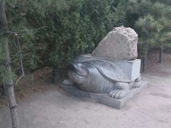 android_upload_pic-蒙山大佛景区