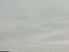 -长广溪湿地公园