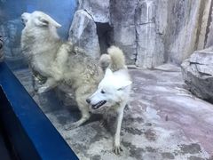 -多彩贵州城极地海洋世界