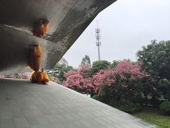 -中国版画博物馆