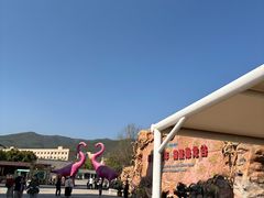 -世界恐龙谷景区