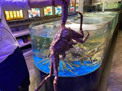 -蟹之国·精品蟹料理(极地店)