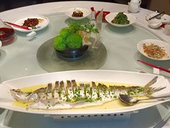 -沪碟·精菜坊(闵行店)