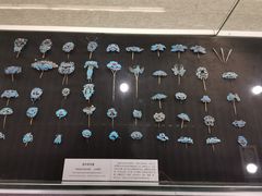 -北京服装学院民族服饰博物馆