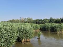 -西青郊野公园