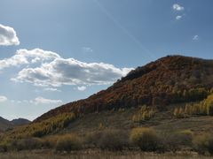 -塞罕坝国家级自然保护区