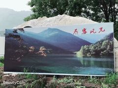 -燕塞湖鸟语林景区