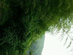 android_upload_pic-藏龙百瀑风景区