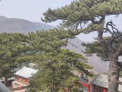-妙峰山风景名胜区