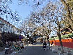 -北京国子监胡同