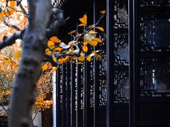 -拙政园