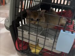 -纳吉亚猫专科动物医院博雅分院