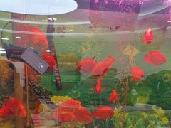 -雅悦齿科(顾村公园店)
