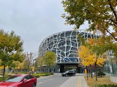 -首都医科大学附属北京天坛医院