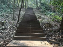 -凤栖山
