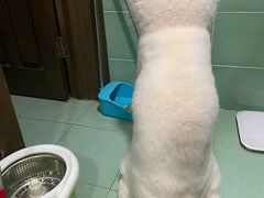 -李想大虾(绿地新都会店)