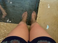 -中家鑫园温泉酒店鑫悦汤泉