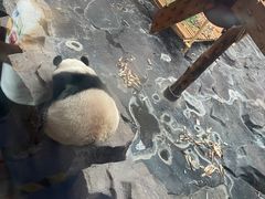 -济南野生动物世界