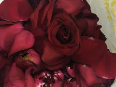 -云中小雅