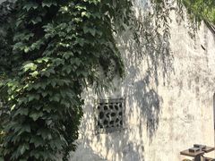 -鲁镇