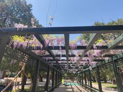 -北京市劳动人民文化宫(太庙)