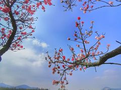-云龙山