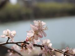 -粤凤佬·臻品(朝阳公园店)