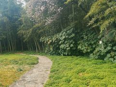 -菊花台公园