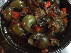 -大萝卜烧烤羊蝎子烤全羊(新城河路店)