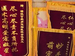 -瑞派宠物医院·犬猫全科·猫友好(宾水西道店)