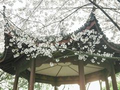 -苏堤停车场