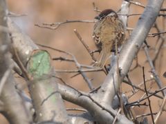 -星光摄影器材城