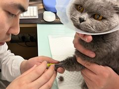 -宠福鑫康馨动物医院·骨科·眼科