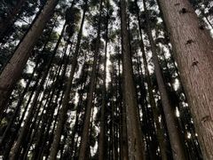 -山王坪喀斯特国家生态公园