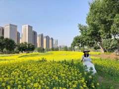 -长白岛森林公园