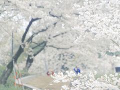 -杭州少年儿童公园