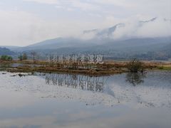 -腾冲北海湿地